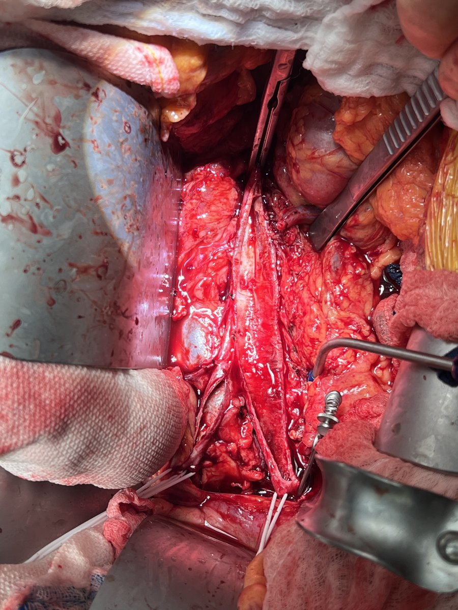 Patrick Geraghty tweet media