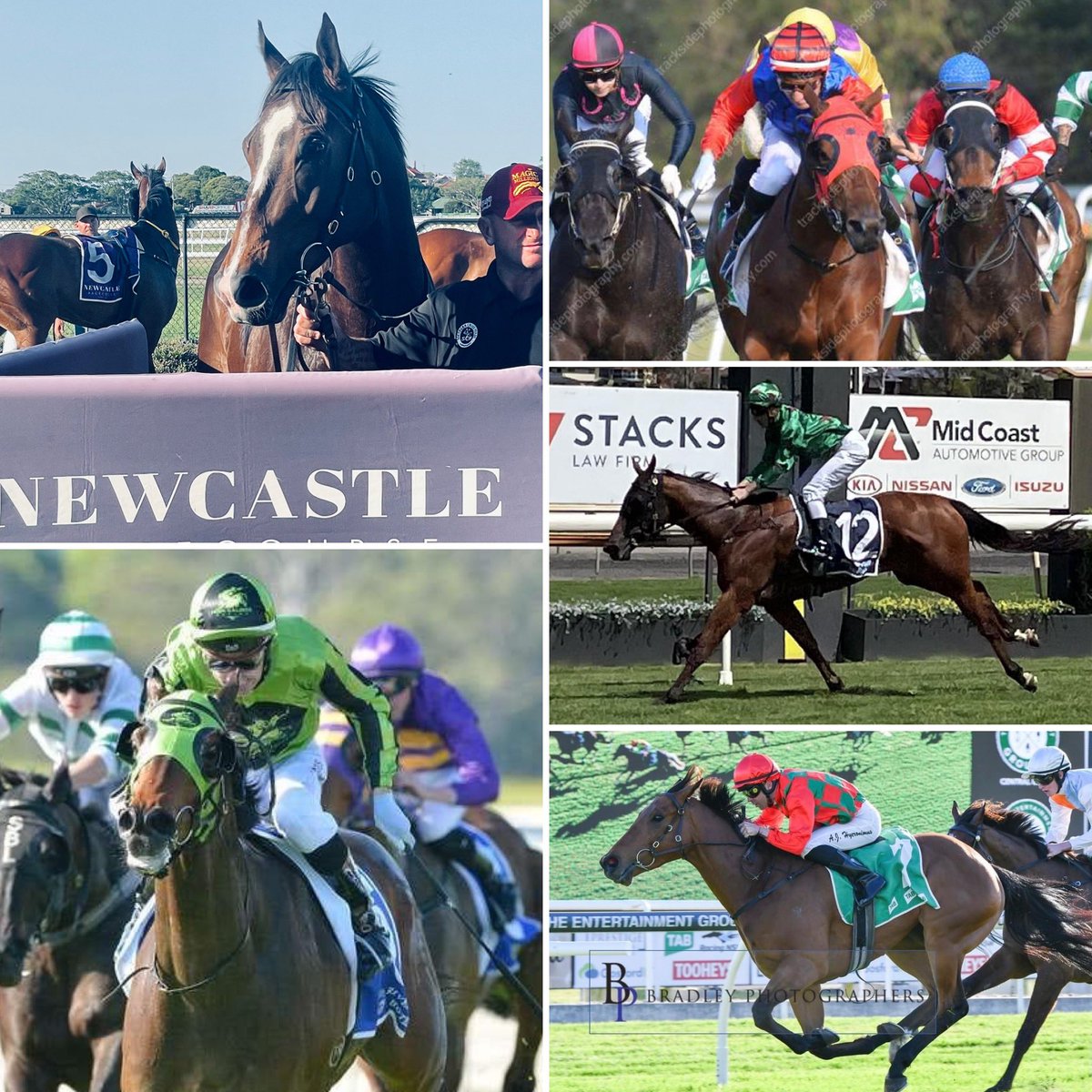 RacingShailer's tweet photo. 🏇OCTOBER at #ShailerRacing🏇

🥇🥇🥇🥇🥇

🔥5 winners- striking @22%🔥 

Get involved- https://t.co/4fOEPueG2k

#racewithus #shailerracing #winner #thoroughbreds #racehorse #race #thoroughbredhorse #thoroughbred #horse #horses #horseracing #racing #horsepower #thoroughbredracing https://t.co/Njnl2PglJp
