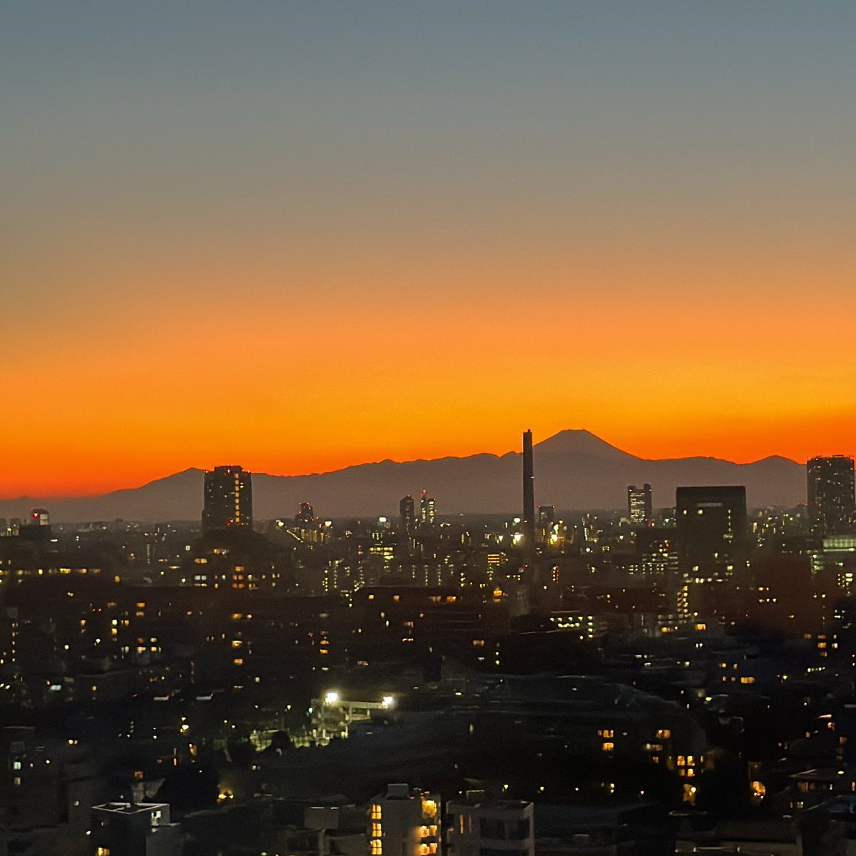 nvk 🌞 tweet media