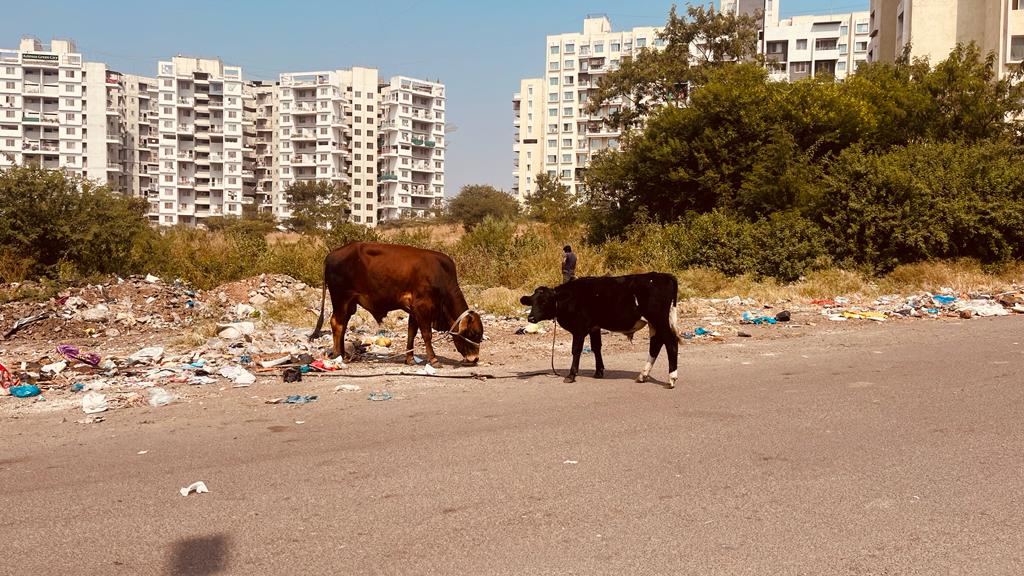 AshishSatkar's tweet photo. @PCMCSarathi @AjitPawarSpeaks @pcmccomm @shekhardalal कचरा कुंडी काढल्यामुळे होणारा कचरा पाहता पालिकेवर ipc च्या कलम 268 अंतर्गत सार्वजनिक उपद्रवाबाबत &amp; कलम 269 अन्वये संसर्गजन्य रोग पसरवण्याची शक्यता असलेल्या कोणत्याही कृत्यासाठी अंतर्गत कारवाई पोलिसांनी करावी .@CPPuneCity https://t.co/asGpu2Cv5K