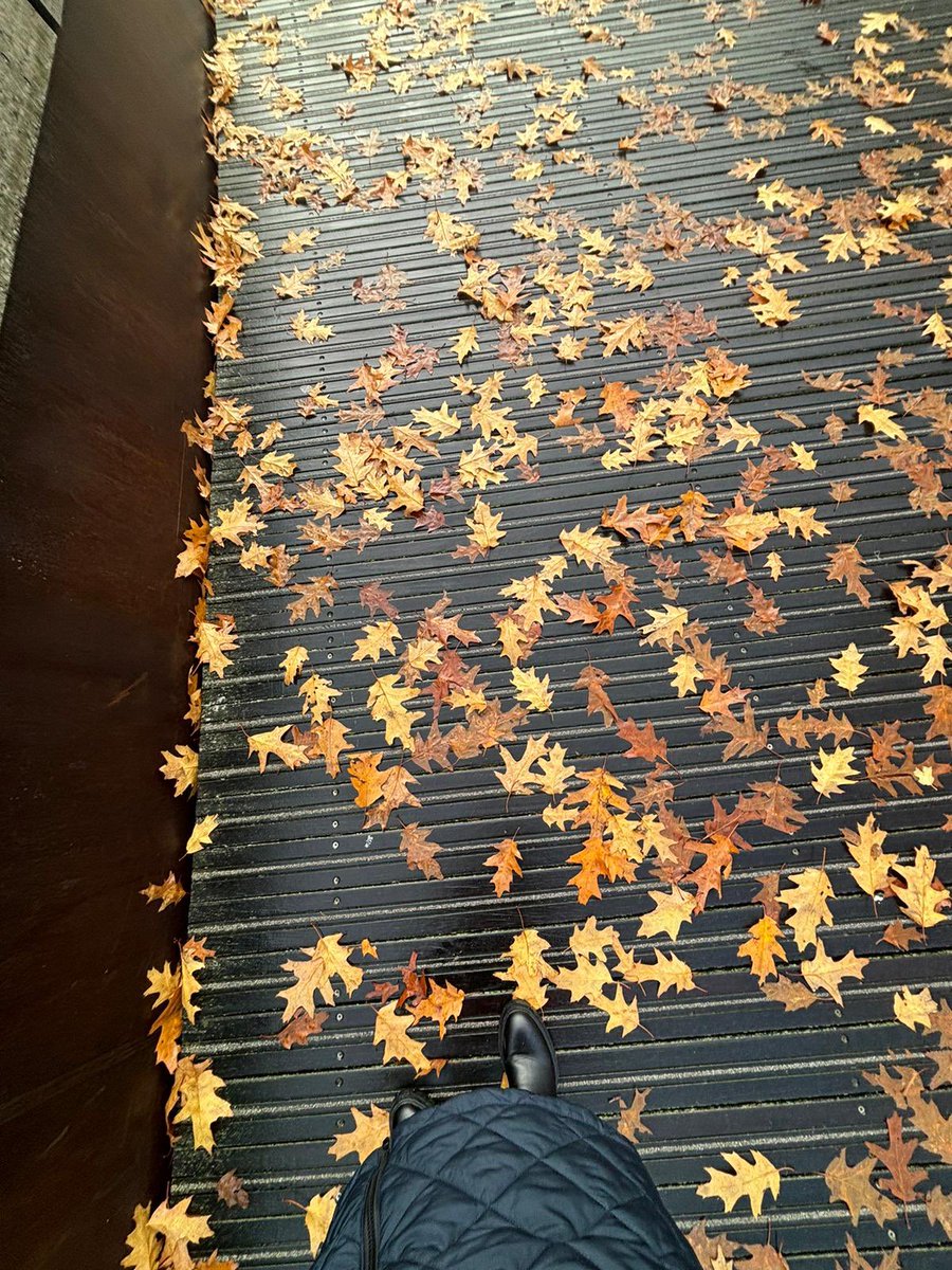 INTUniNorthants's tweet image. Happy 1 November! 🍂🍁 we start the new month with some stunning Autumnal pics of campus #November1 #waterside #northampton