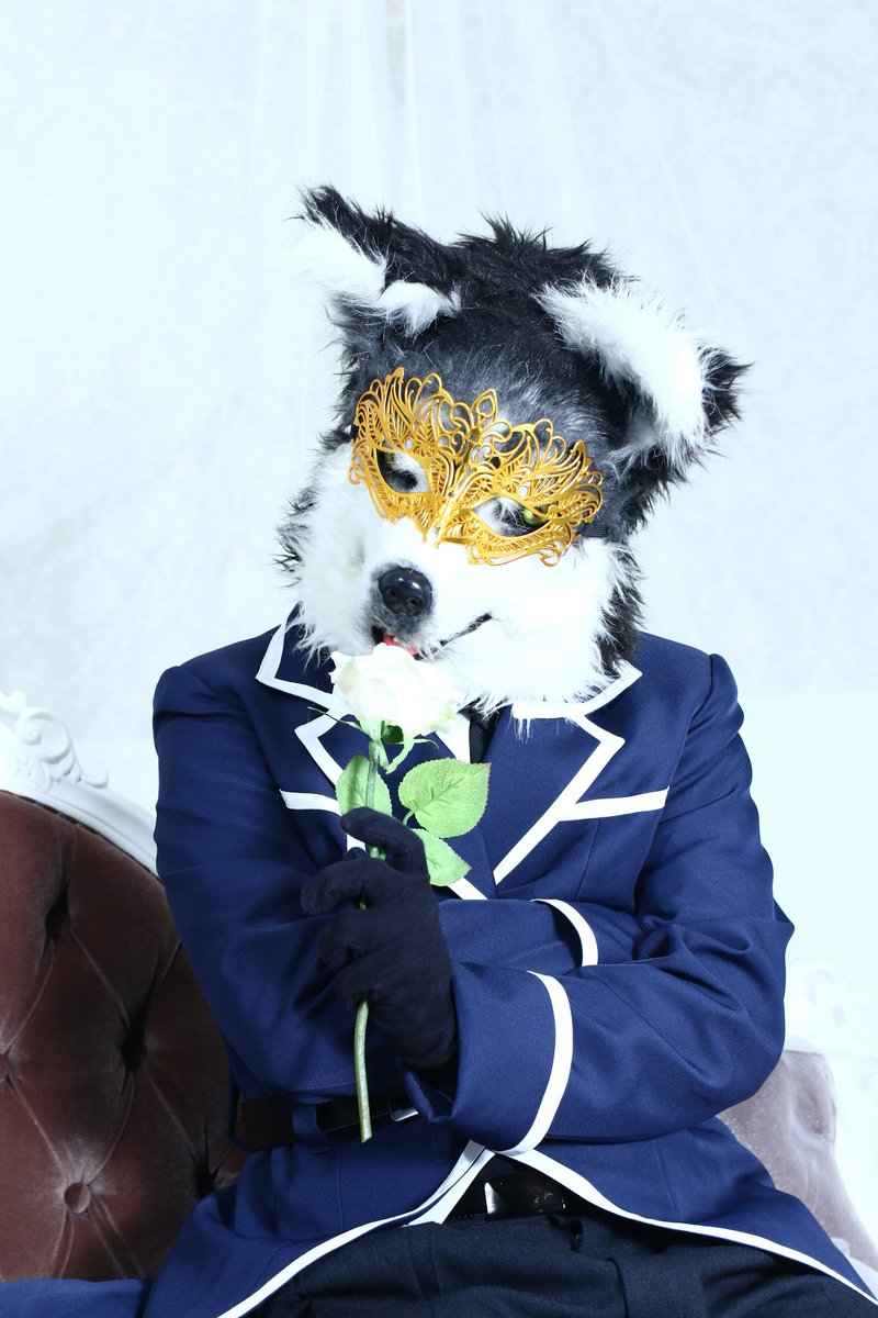 Marchosias_359's tweet photo. 今年の #ハロウィン もネタなしだったので、#犬の日 の今日ぐらい見てあげてください、我が家の自慢の犬系亜人🐶
#獣奇士キッド #FursuitEveryday #JMoF2018 #湾岸獣撮影会 #JMoF2017 #お菓子の城 https://t.co/0oP7KZfjD8