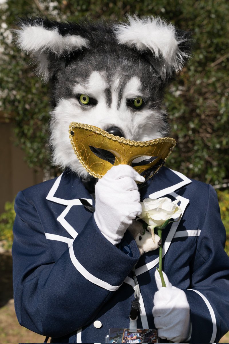 Marchosias_359's tweet photo. 今年の #ハロウィン もネタなしだったので、#犬の日 の今日ぐらい見てあげてください、我が家の自慢の犬系亜人🐶
#獣奇士キッド #FursuitEveryday #JMoF2018 #湾岸獣撮影会 #JMoF2017 #お菓子の城 https://t.co/0oP7KZfjD8