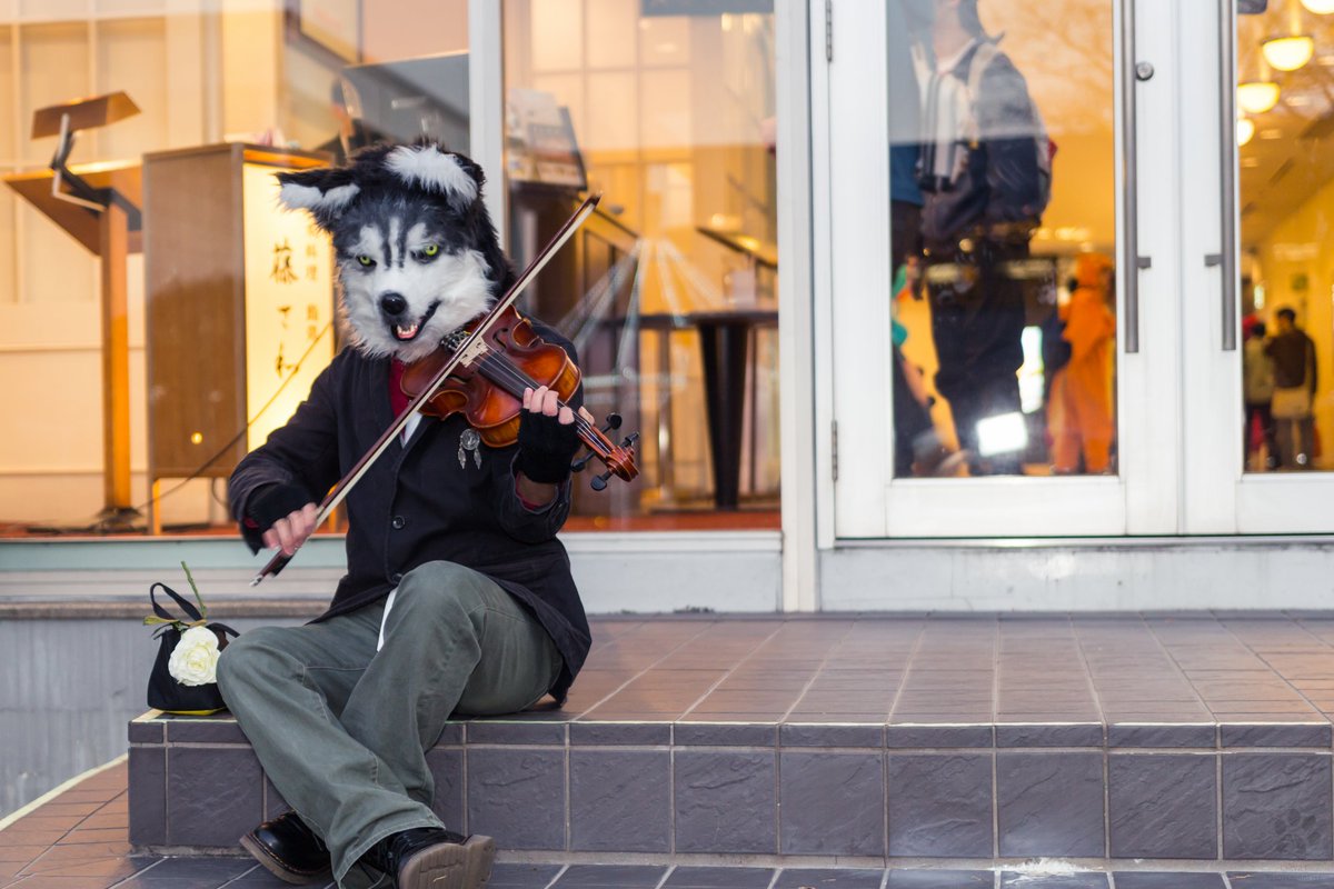 Marchosias_359's tweet photo. 今年の #ハロウィン もネタなしだったので、#犬の日 の今日ぐらい見てあげてください、我が家の自慢の犬系亜人🐶
#獣奇士キッド #FursuitEveryday #JMoF2018 #湾岸獣撮影会 #JMoF2017 #お菓子の城 https://t.co/0oP7KZfjD8