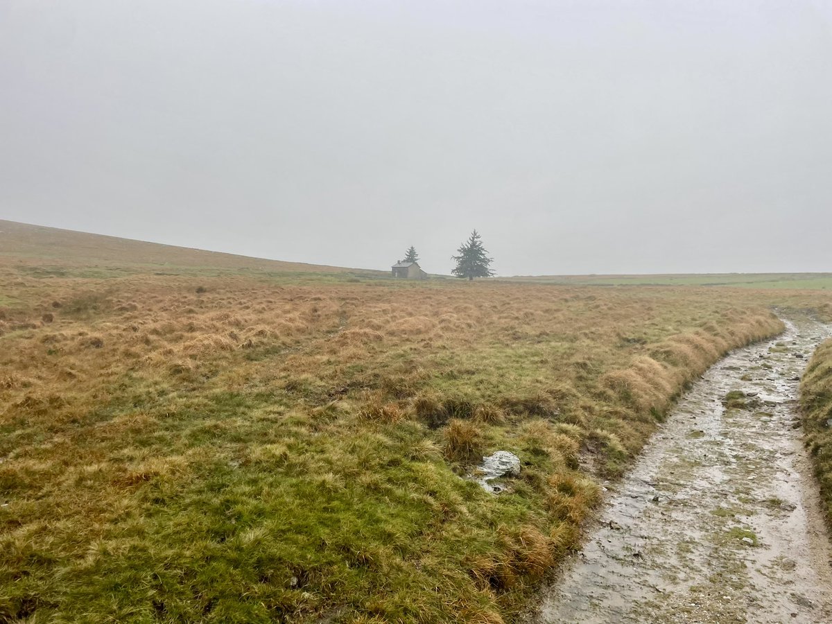ShaunKiddell's tweet photo. Finally made to Nuns Cross Farmhouse. One of Dartmoor’s fabulously remote abandoned farmsteads. #dartmoor #dartmoornationalpark #devonheaven https://t.co/5tpD21YmHZ