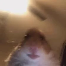 しごおわ… 地獄やった
