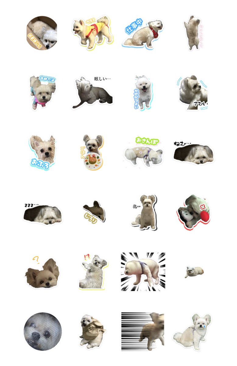 Rin__816's tweet photo. 我が家の沼犬のLINEスタンプです🐶

身内用に作ったスタンプですが、11月中の売上の一部が動物福祉団体に寄付されるそうなので公開しました🐶

沼犬がお好きな方は是非…

使ってくれた方はスクショとか送ってくれるととっても嬉しいです！！！

https://t.co/80LqmUuDAU https://t.co/WKgkhAu7mf