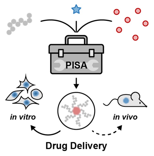 Pharmaceutics Utrecht (@uupharmaceutics) on Twitter photo Check out this neat Review in <a href="/JPolymSci/">Journal of Polymer Science</a> on the status and future of PISA in the drug delivery field. Congrats to <a href="/EHochreiner/">Eleonora G. Hochreiner</a> & <a href="/BvRavensteijn/">Bas van Ravensteijn</a>!
<a href="/UUUIPS/">Utrecht Institute for Pharmaceutical Sciences</a>, <a href="/UUBeta/">Faculty of Science, Utrecht University</a>
doi.org/10.1002/pol.20… Check out this neat Review in <a href="/JPolymSci/">Journal of Polymer Science</a> on the status and future of PISA in the drug delivery field. Congrats to <a href="/EHochreiner/">Eleonora G. Hochreiner</a> & <a href="/BvRavensteijn/">Bas van Ravensteijn</a>!
<a href="/UUUIPS/">Utrecht Institute for Pharmaceutical Sciences</a>, <a href="/UUBeta/">Faculty of Science, Utrecht University</a>
doi.org/10.1002/pol.20…