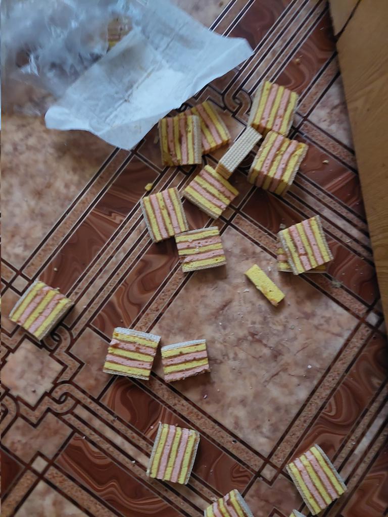 🍀Квіткова кола🌸 tweet media