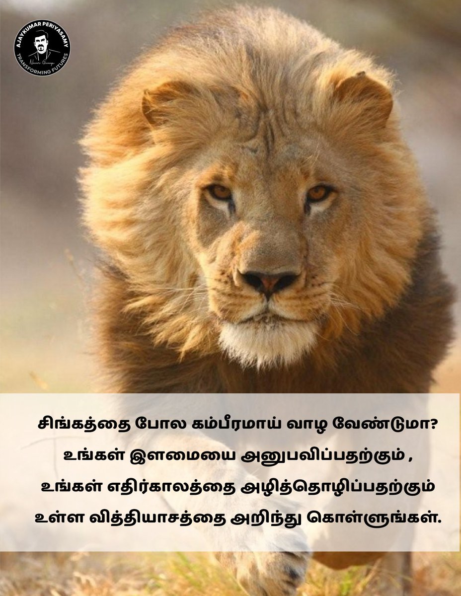 Unfilteredbyak's tweet photo. சிங்கத்தை போல கம்பீரமாய் வாழ வேண்டுமா?
.
.
#ajaykumarperiyasamy #kuttichuvartalks #tamilmotivation #aishu #LeoSuccessMeet #Sivakarthikeyan #thangalaan #ChiyaanVikram #MalavikaMohanan #thangalaanteaser #EnNenjilKudiyirukkum #chennairains #TipsForHappyLife #VidaaaMuyarchi https://t.co/qJHS8A0SUC