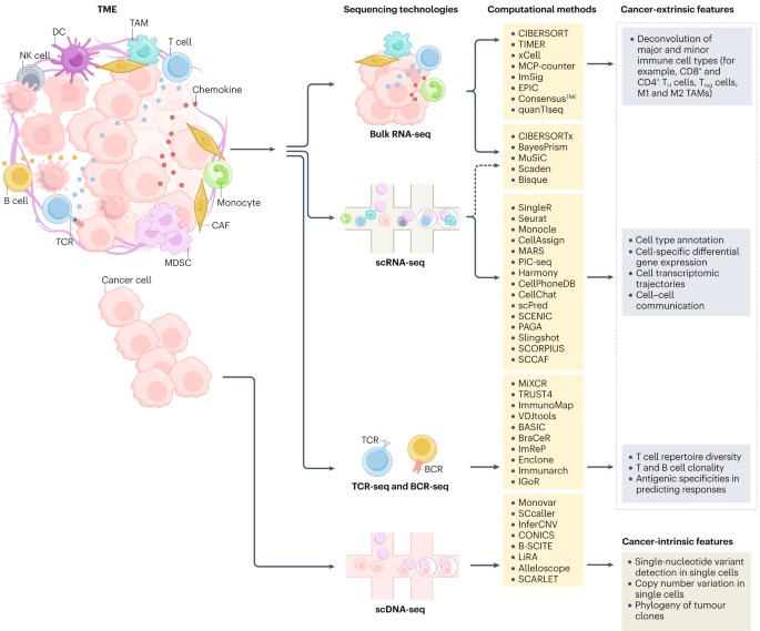 NatureRevClinOncol tweet media