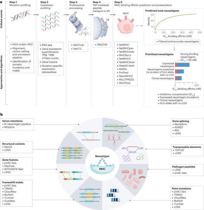 NatureRevClinOncol tweet media