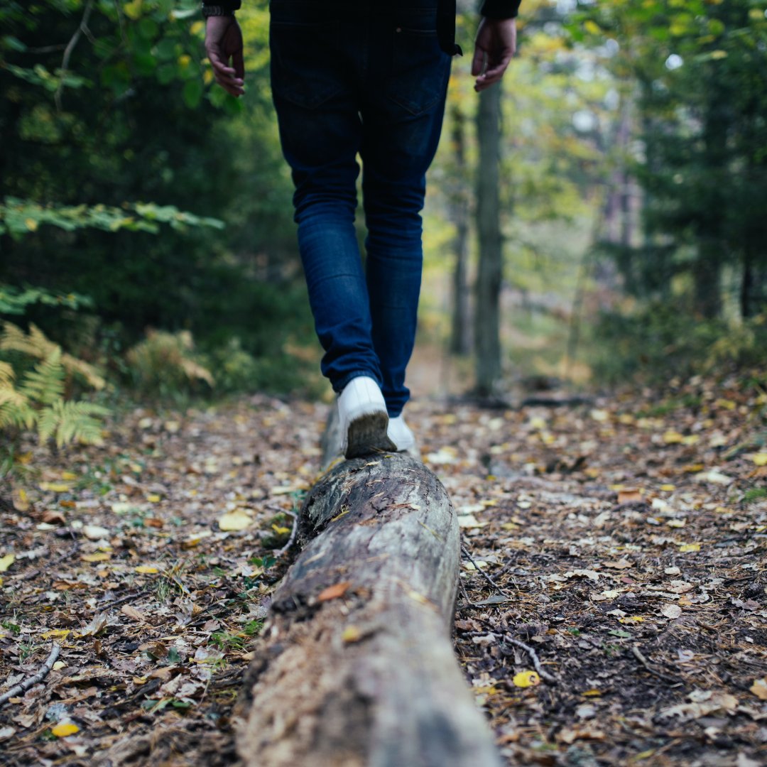 Looking to work up an appetite before some delicious pub grub? 👟

Why not partake in one of our pub walks? We’ve got a range of walks from easy to hard and not 1, not 2 but 11 of our pubs! 🌲

Take a look: ow.ly/65SF50Q2A7j