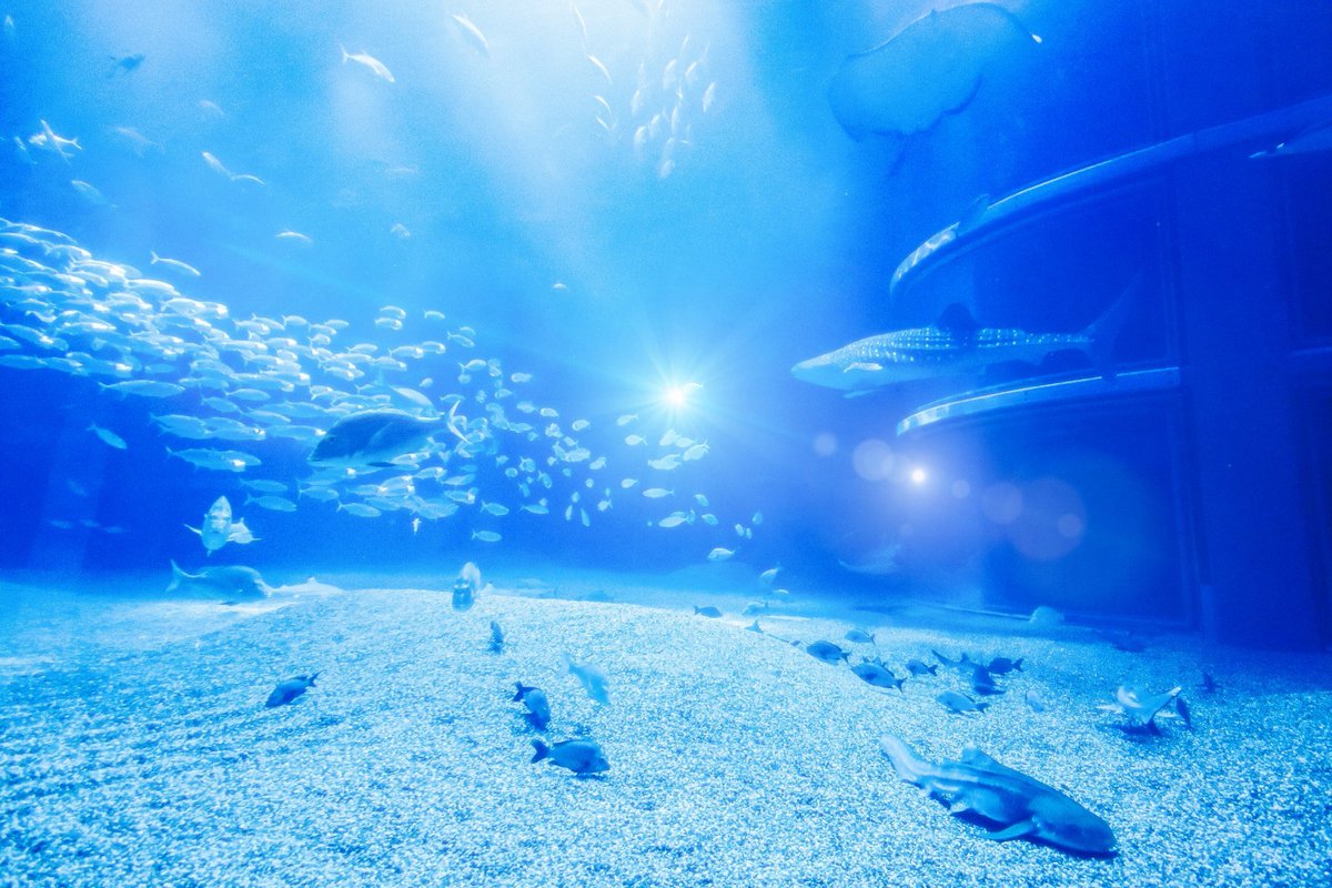 Sorani___Ao's tweet image. 声にならない気持ちが溢れてとけた。