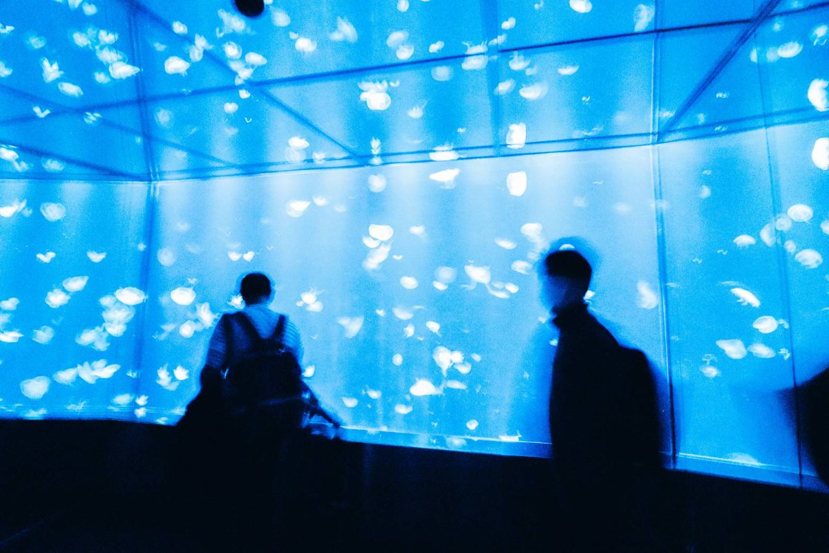 Sorani___Ao's tweet image. 声にならない気持ちが溢れてとけた。