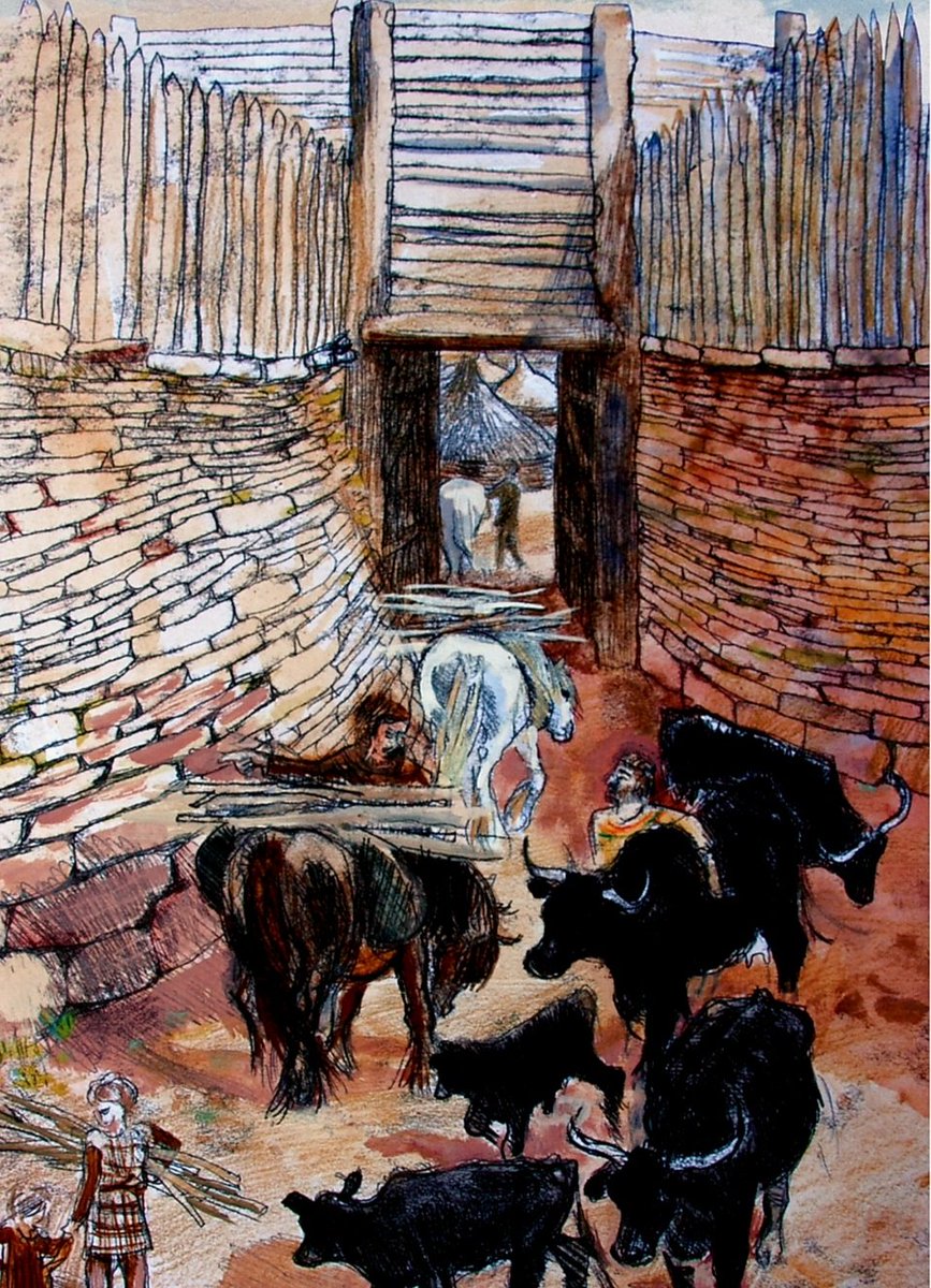 Durotriges Project tweet media