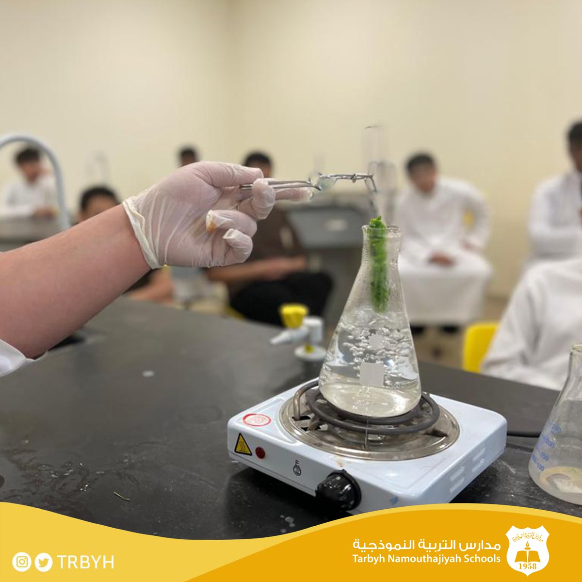trbyh's tweet photo. نشارككم تجربة استخلاص صبغة الكلوروفيل من النبات باستخدام المذيبات العضوية 👨‍🔬

#مدارس_التربية_النموذجية 
مجمع القصيم التعليمي | مسار وطني https://t.co/MZh80bmpWW
