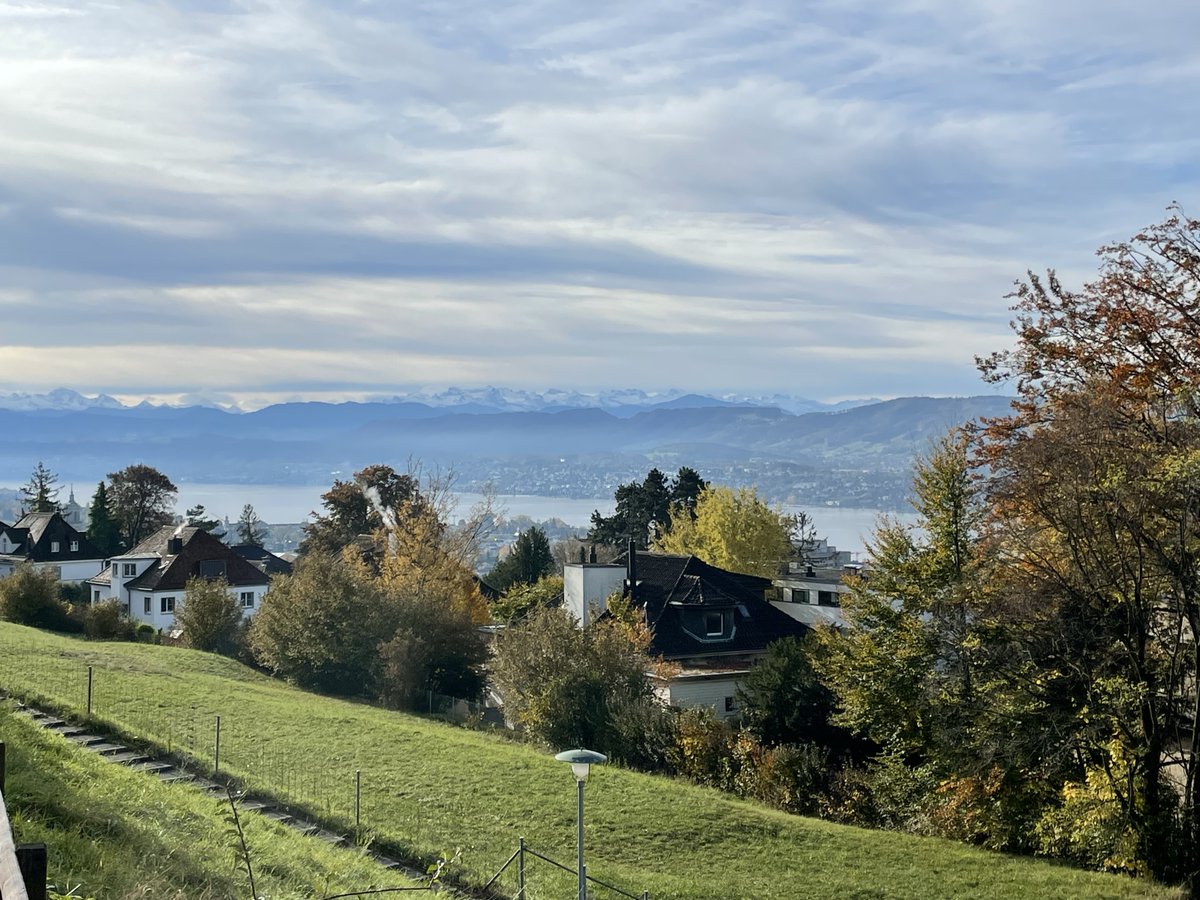 Zhendong Su tweet media