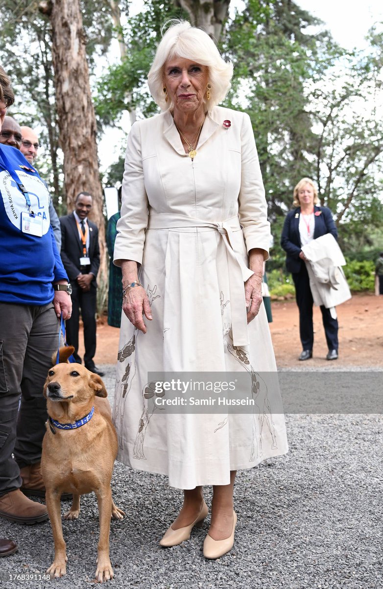 🐶🇰🇪

Queen Camilla arrives at the Kenya Society for the Protection and Care for Animals (KSPCA) in Nairobi, Kenya today.

#RoyalVisitKenya 

📸 Samir Hussein