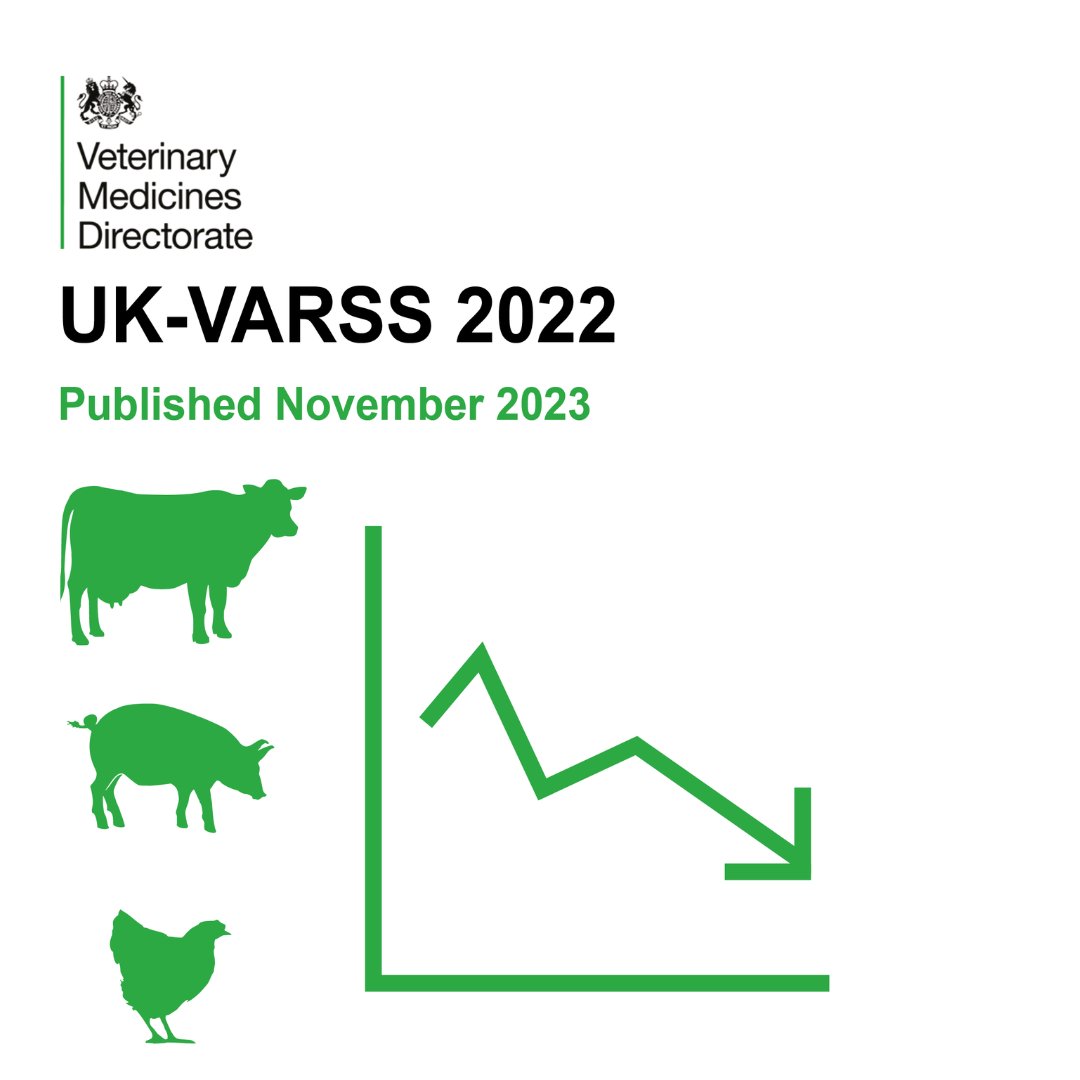 VMD (@vmdgovuk) on Twitter photo 📢UK-VARSS 2022 report is launched at today’s <a href="/RUMA_UK/">RUMA Alliance</a> 2023 conference & shows the UK has recorded its lowest level of veterinary antibiotic sales since 2014!
Find the report👉bit.ly/46TAItI 📢UK-VARSS 2022 report is launched at today’s <a href="/RUMA_UK/">RUMA Alliance</a> 2023 conference & shows the UK has recorded its lowest level of veterinary antibiotic sales since 2014!
Find the report👉bit.ly/46TAItI