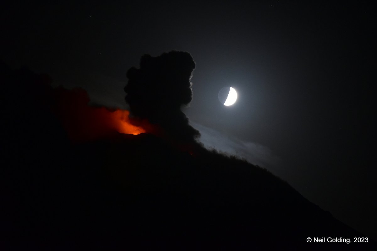 Neil Golding tweet media