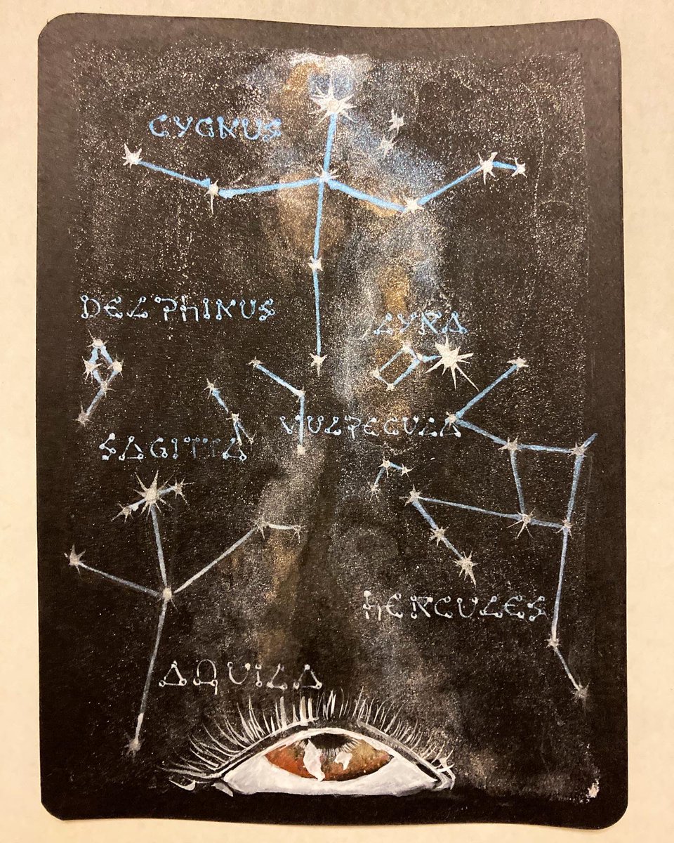 minisiegfried tweet media