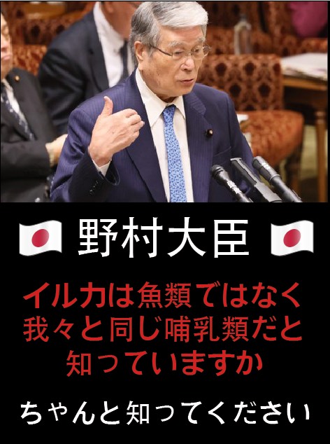 Dolphins are not a fishes!!!
Mr. Nomura you should educate yourself
<a href="/MAFF_JAPAN/">農林水産省</a> 
<a href="/kishida230/">岸田文雄</a> 
<a href="/japan/">japan</a> 
<a href="/JapanGov/">The Gov't of Japan</a> 
<a href="/shuheikishimoto/">岸本周平</a> 
<a href="/WakayamaPref/">和歌山県</a> 
<a href="/TGyokyo/">taiji gyokyo</a>