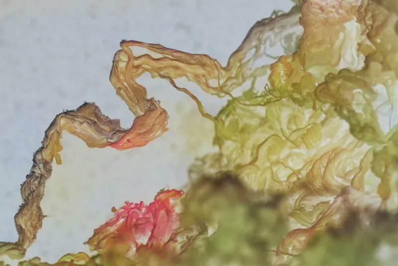 Shortlisted for "Mending a broken heart" – The British Heart Foundation photography competition. sciencefocus.com/news/mending-a… 
Work from <a href="/Matt_J_Bown/">Matt Bown</a> <a href="/BhfUni/">BHF Research Accelerator Award Uni of Leicester</a> <a href="/uniofleicester/">University of Leicester</a> <a href="/LeicsVascular/">Leicester Vascular Research</a>