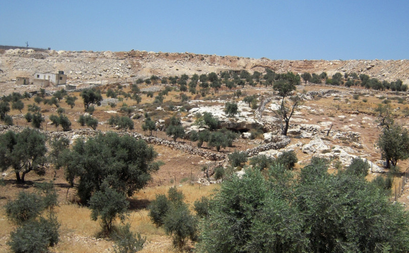 ‼️ Ocupaciones agromilitares: <a href="/gustavoduch/">Gustavo Duch ⏚</a> escribe sobre el robo de tierras de cultivo en Palestina por parte de Israel y la crisis alimentaria en Palestina 🇵🇸

"En 1948, las personas e instituciones judías eran propietarias de alrededor del 6,5% de las tierras fértiles, mientras