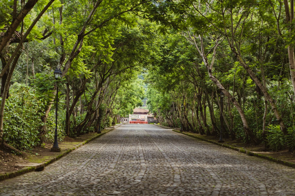 Finca Filadelfia is one of the beautiful farms in our Antigua region. Take a tour to discover over 150 years of coffee cultivation history, and stay for a full resort experience. Our nation is one of the best places for coffee tourism!

📸: Alexander Cifuentes

#GuatemalanCoffees