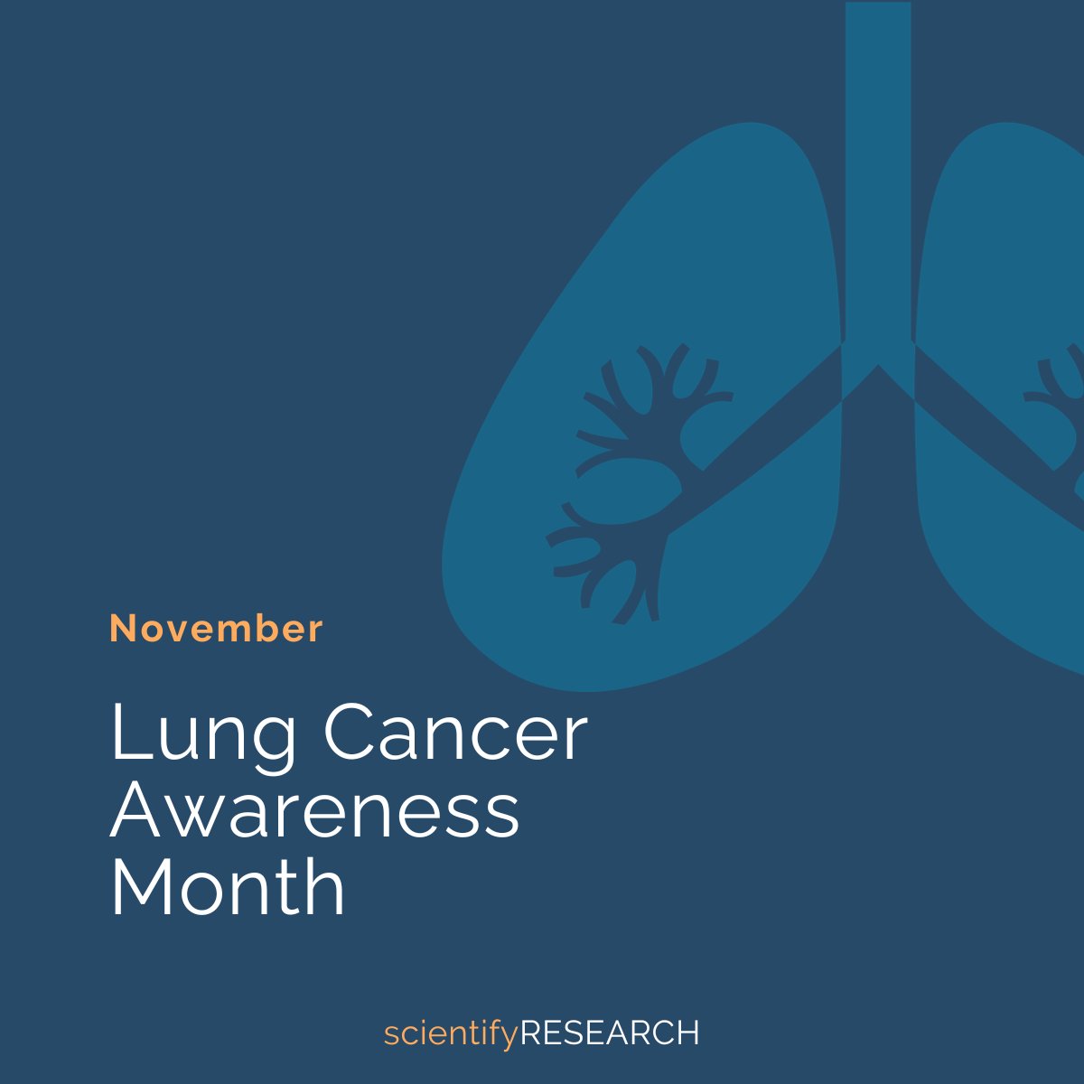 scientifyRES's tweet photo. November is #LungCancerAwarenessMonth
If you work in #LungResearch in the USA, check out these research grants and awards by @LungAssociation
https://t.co/ogW9qKLpsK
#LungCancerAwareness #LungCancerResearch #scientifyRESEARCH https://t.co/wnc13SaFZJ