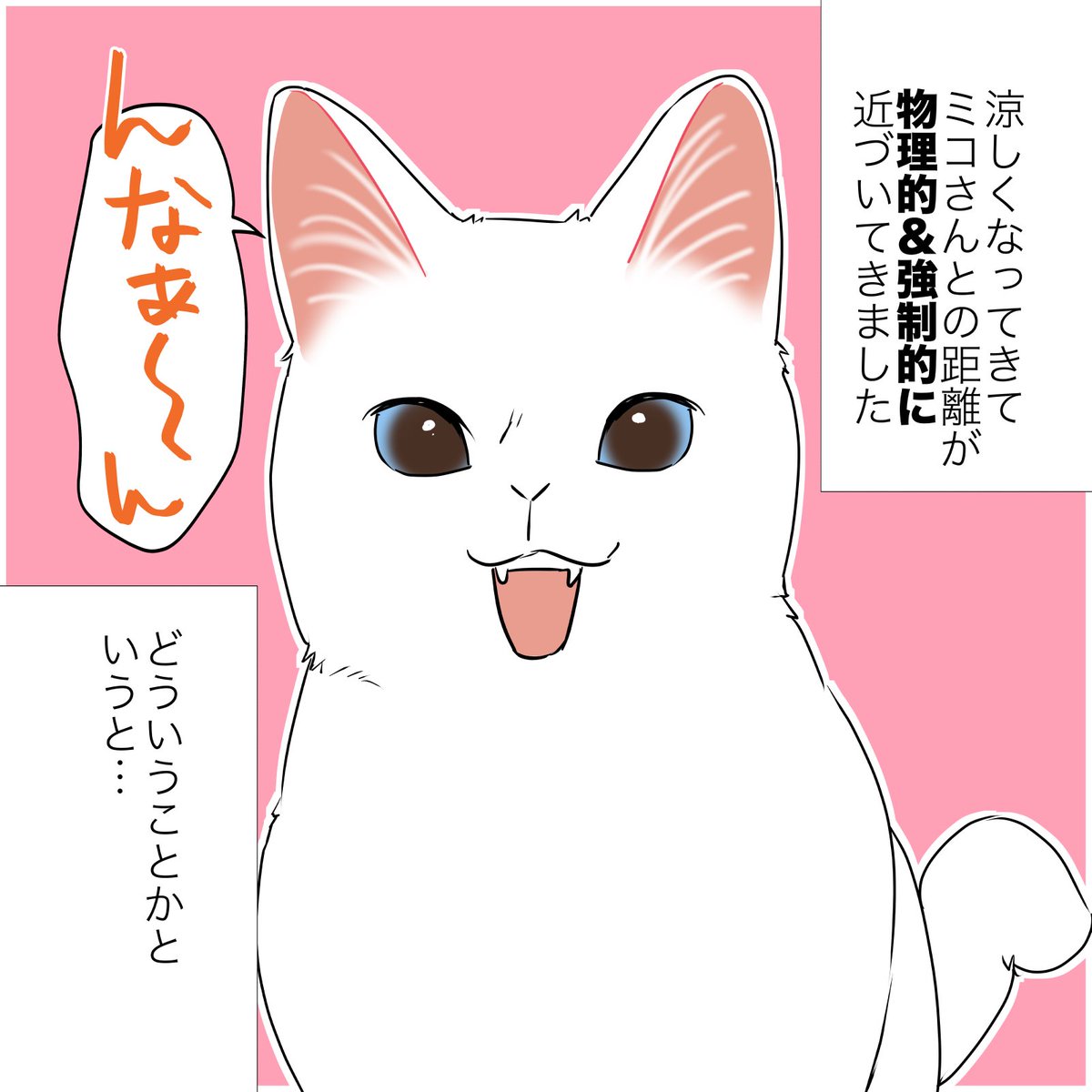 秋になって甘えんぼ猫が本領発揮し始めた話(1/2)
#漫画が読めるハッシュタグ 
#愛されたがりの白猫ミコさん 