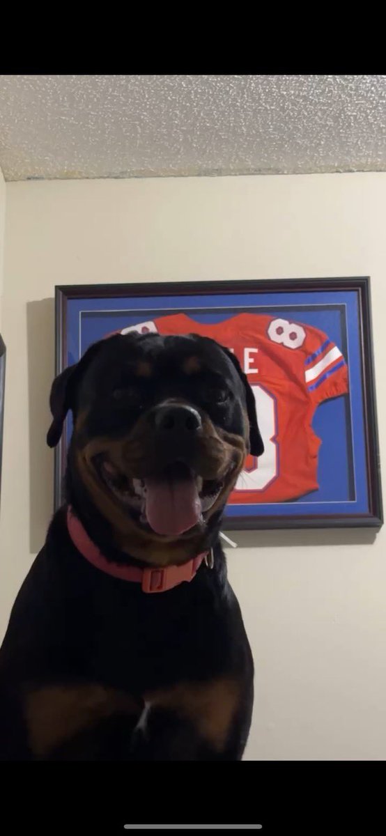 wawajoyy's tweet photo. Couldn’t sleep at all last night. We loss a huge part of our family last at 9:49 KOI took her last breath. I love you girl 
😂😂😂😂😂😂😂 https://t.co/OJ5pvRiZig