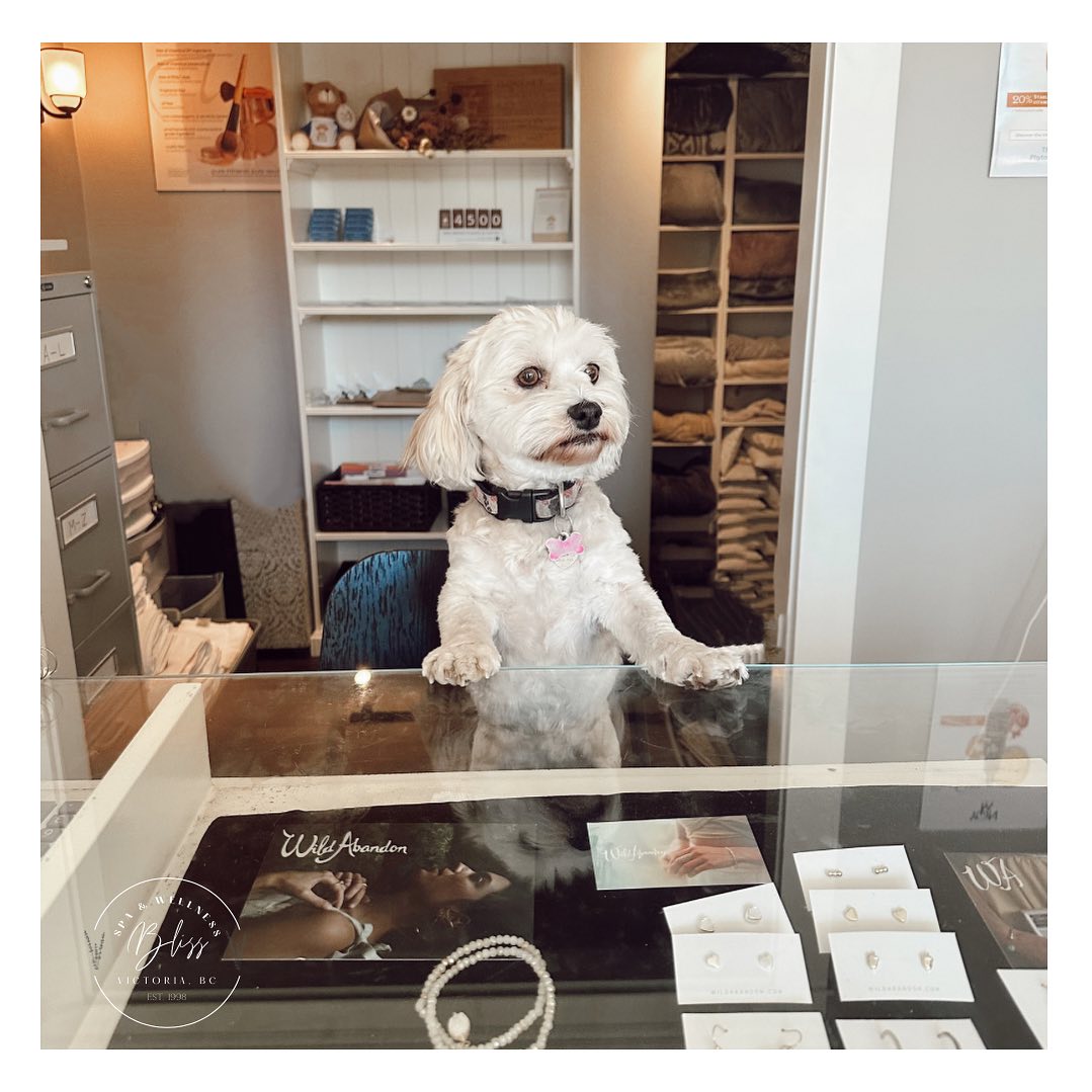Introducing our new Front Desk

🤍 Charlie 🤍

Just kidding this little cutie was just helping drop off some laundry for our busy week ahead 🤍

There are a few spots available if you want to get out of the rain  and enjoy a little bit of relaxation 🤍

#smallbusinessvictoria