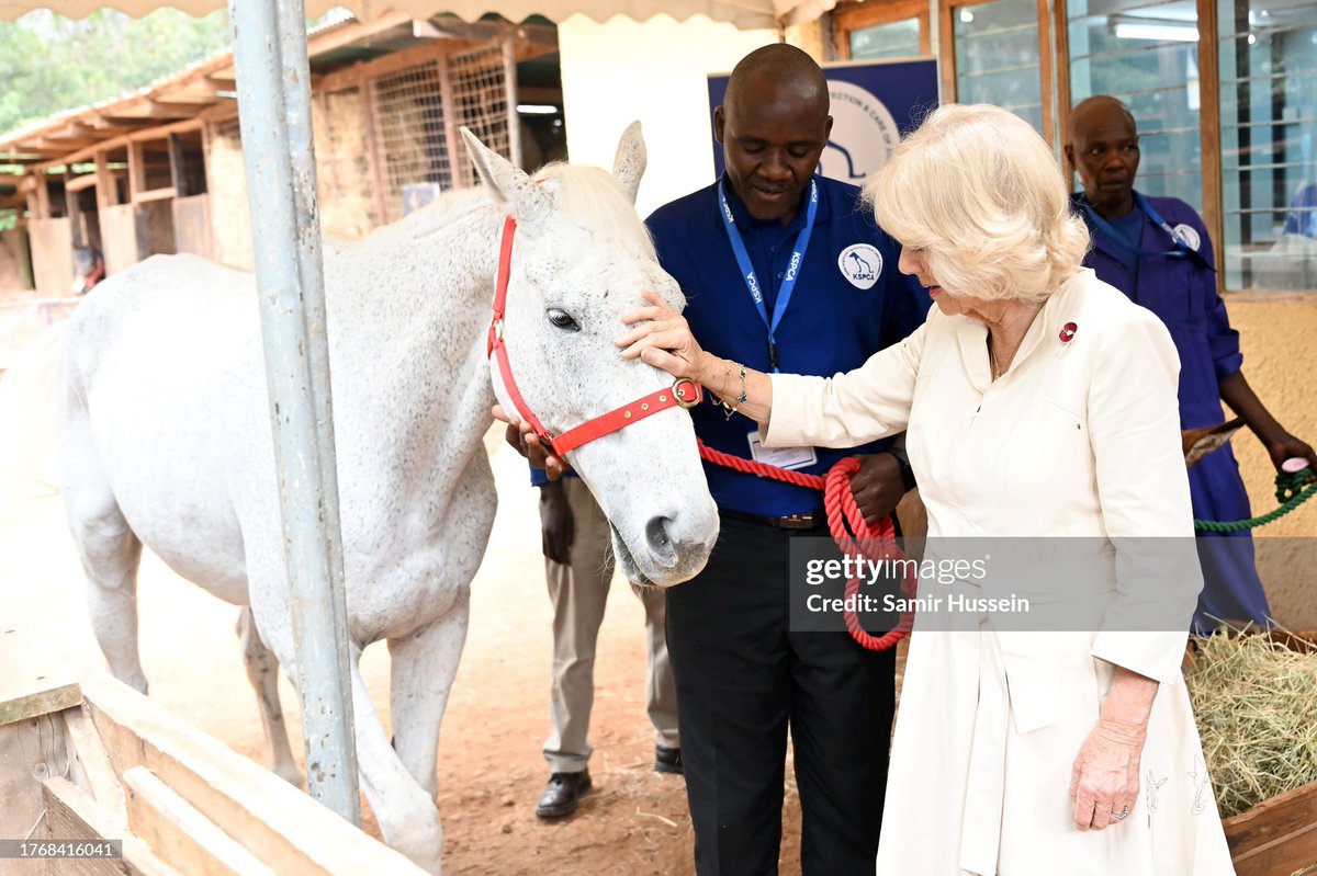 Queen Camilla observes an ongoing clinic session with two vets, a farrier and handlers at the Kenya Society for the Protection and Care for Animals (KSPCA) in Nairobi, Kenya today.

#RoyalVisitKenya 

📸 Samir Hussein