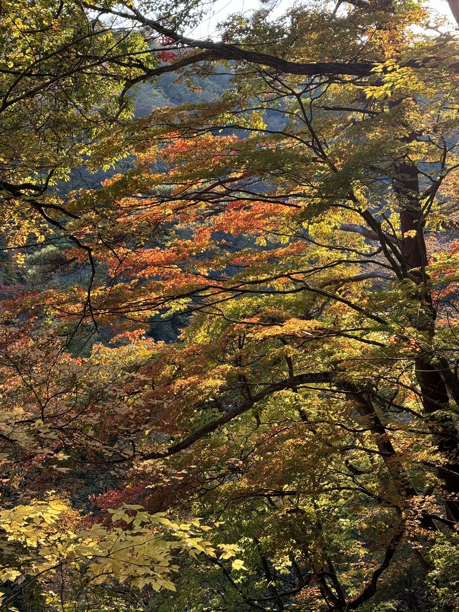 thximaging's tweet photo. iPhone15Pro https://t.co/SvvrIrvmrn