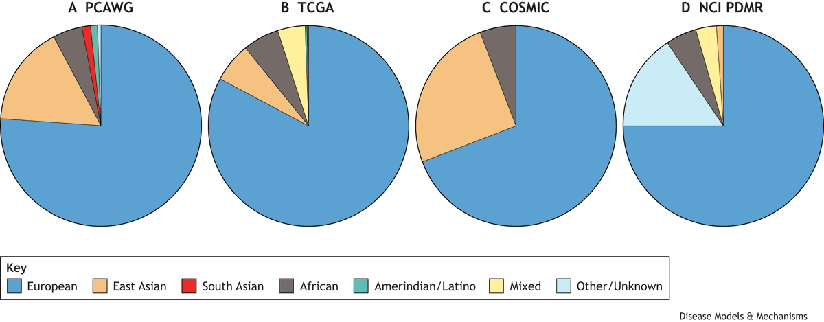 DMM_Journal's tweet photo. Check out this #DMMPerspective from @Christian_Moli_ & @daniela_oaks on the lack of #diversity in #cancer catalogues and in the scientific workforce driving this research
📰https://t.co/jr22dGGYD6 https://t.co/i3ph1bSExu