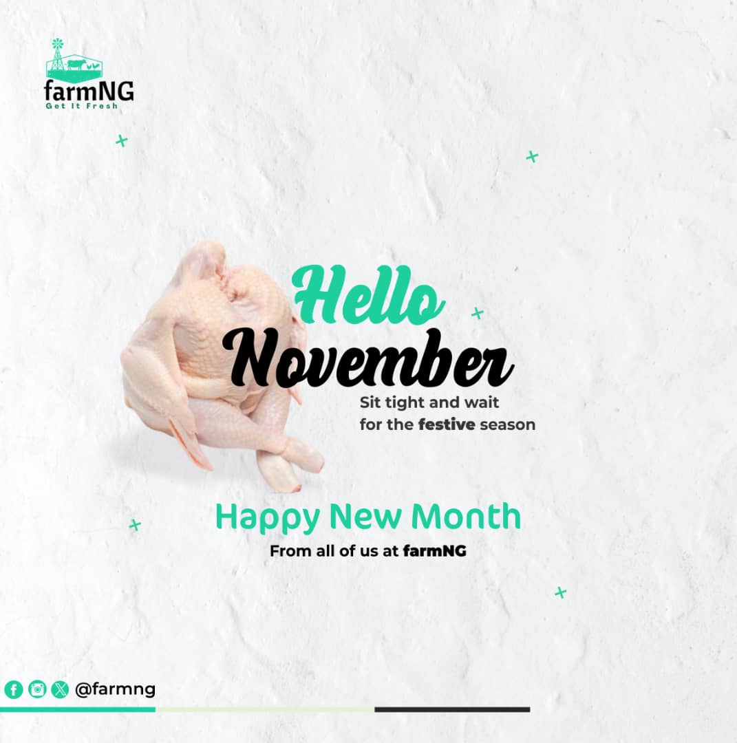 FarmNG_'s tweet photo. Not only is this a new month, were getting closer to launching. 
Stick with us, you won't regret it 😜

HAPPY NEW MONTH FAM 💖

#november #happynewmonth #farmersinportharcourt #portharcourtfarmer https://t.co/AAmbBYhS6H