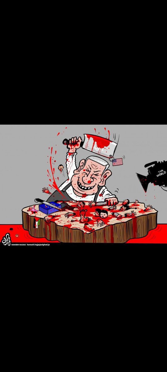 MahrukhNoor12's tweet photo. If you bomb a civilian building, camps filled with innocent children, women and men, you are a terrorist.
#JabaliaRefugeeCamp 
#AlQudsHospital 
#SavePalestiniancivilians 
#Yeman 
#PakistanGazaMarch 
#neytanyahu_war_criminal 
@UNHumanRights 
@CIJ_ICJ https://t.co/luVJnRKBig