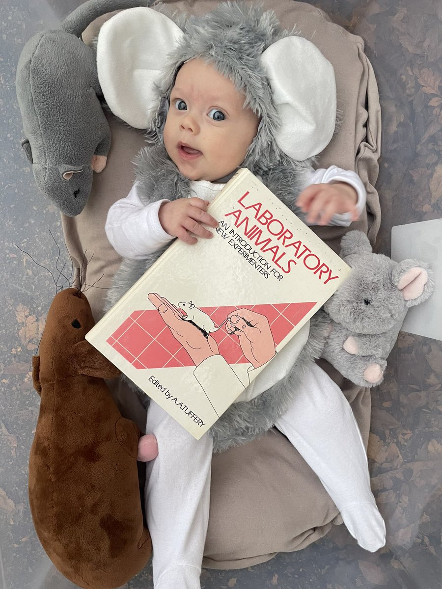 Happy halloween from my new little lab rat! 🐭