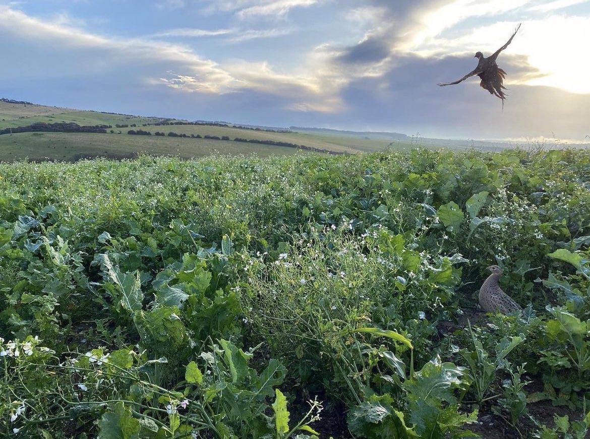 What a shot from one of Arthur Barraclough’s customers down on the South Coast. 👌👌