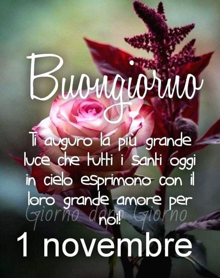 TerryDoor's tweet photo. @R_o_b_y_50 Ciao Roby...😊🤗 https://t.co/X8P3213ilL