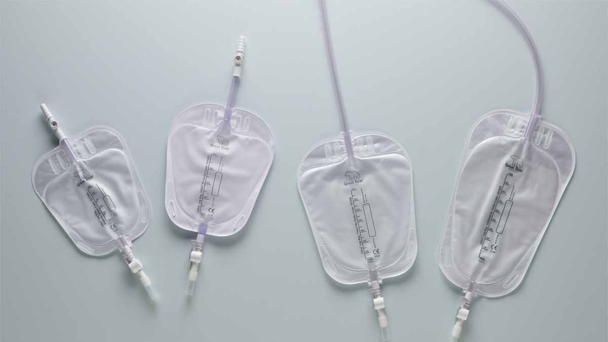 Great Bear tweet media