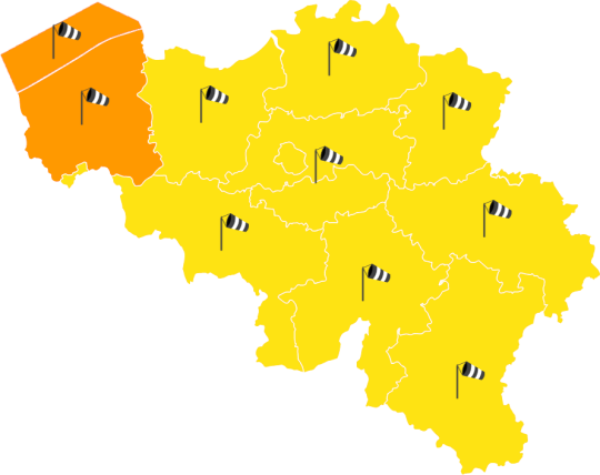 meteobenl's tweet photo. Waarschuwing voor wind van 02/11 04u tot 02/11 23u:  Donderdag zal de stormdepressie Ciarán voor een krachtige zuidwestelijke stroming zorgen over onze streken. De wind zal waarschijnlijk 6 tot 7 ... (https://t.co/sPNybMQZwU) https://t.co/vHoAhHHCKm
