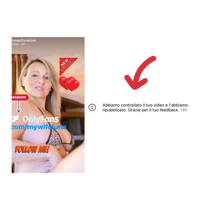 Chi tiene duro la vince😂😂si dice cos&igrave;?questa &egrave; la risposta di insta.. era stato segnalato per bullismo