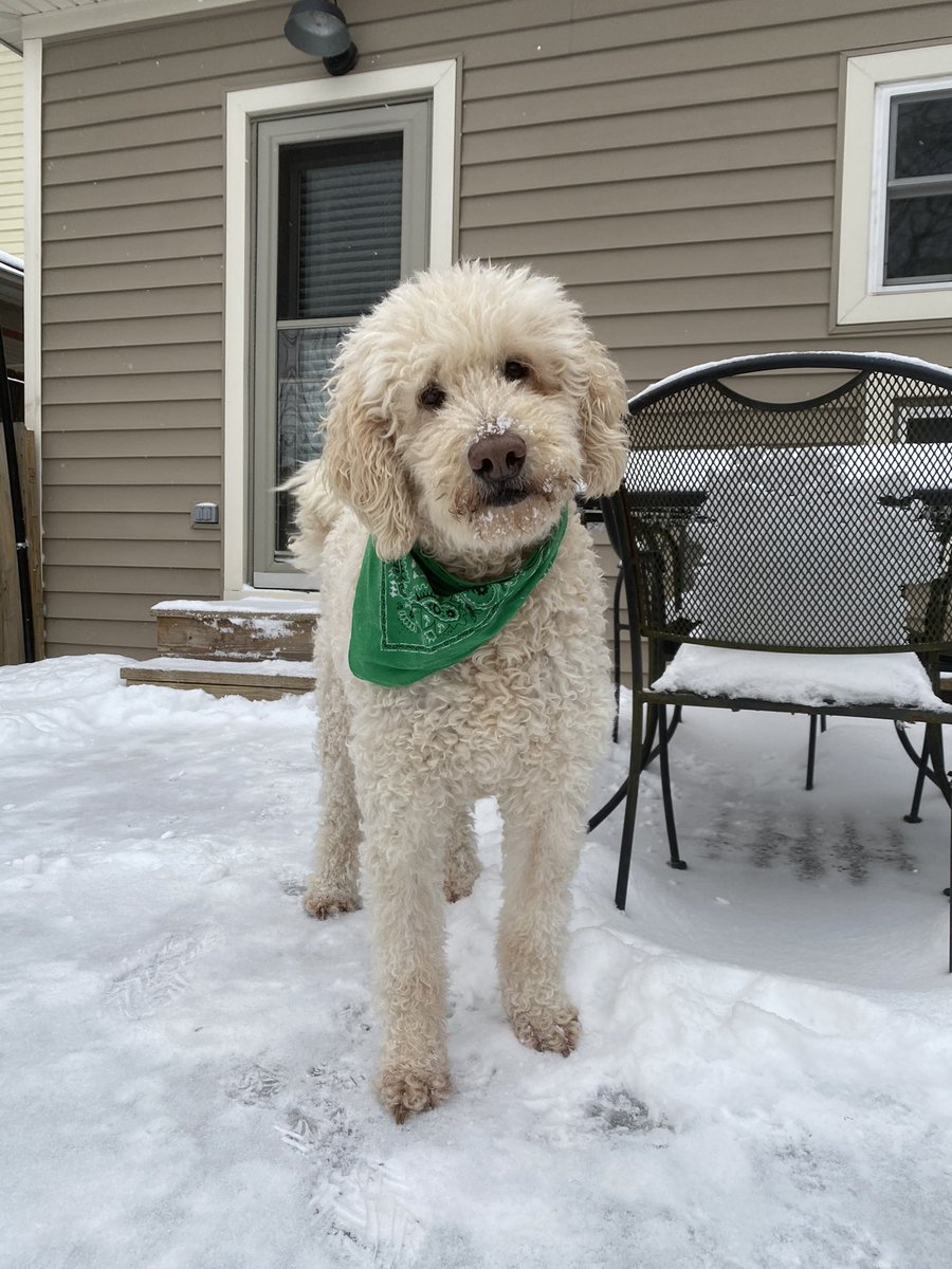 Katharinetye's tweet photo. Completely broke down walking outside and seeing our first snow this morning. My sweet Delta girl would’ve been so excited over it ❤️ https://t.co/MELZNlTe9f
