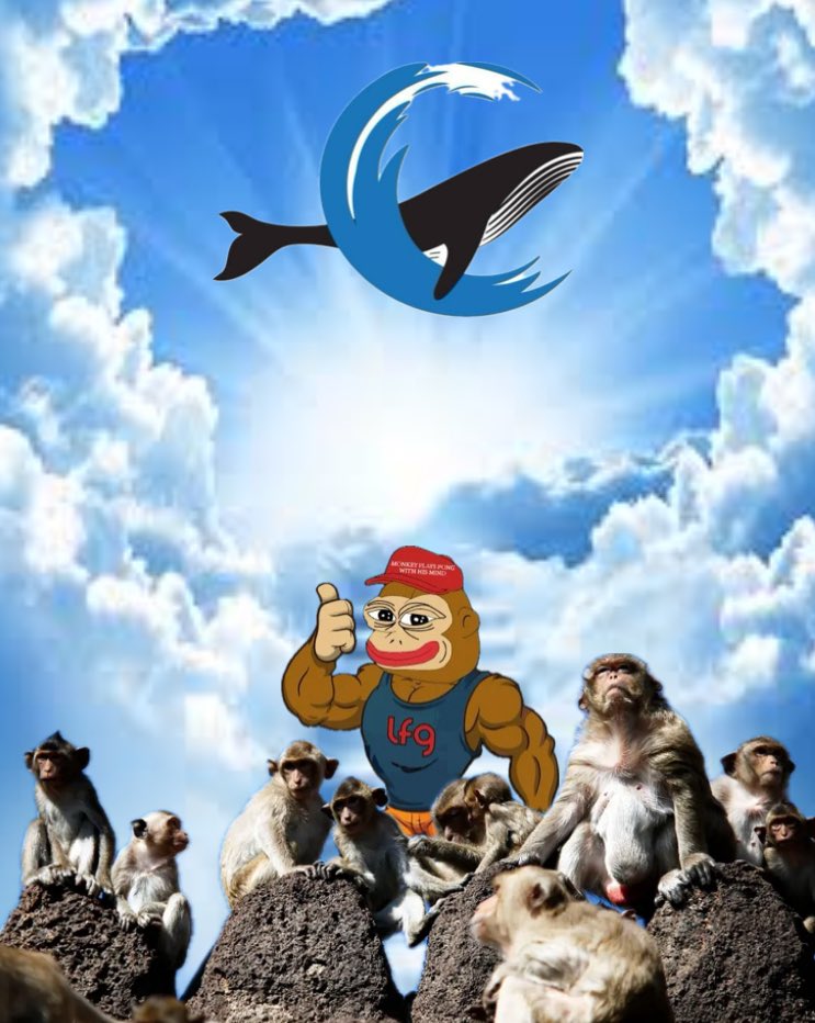 The Monke tweet media