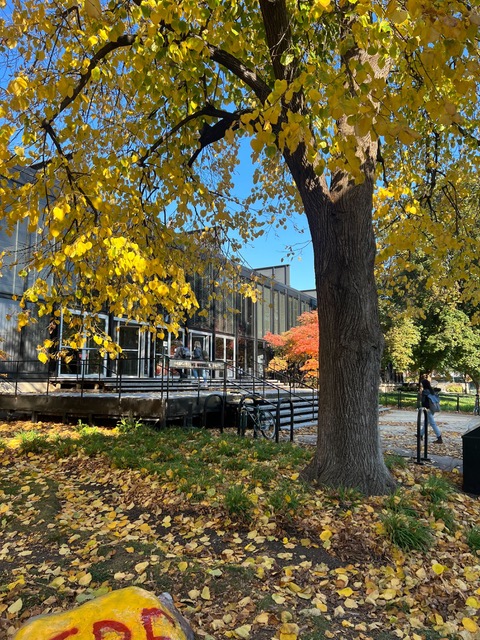 SutherlandLabs's tweet image. #EPIC2023 keynote speech: A Glimpse into Design Leadership.

Ovetta Sampson, a design executive with an impressive track record at global giants like Google, is a master of transdisciplinary practices that craft more human-centered services.

What a way to end EPIC2023!

#UX