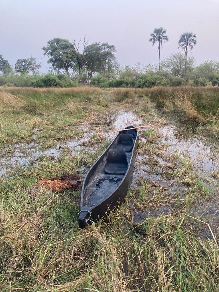 LizzyWalker1's tweet photo. Finally, 🇧🇼 is so special it needs 2nd mention. Paddling in the Okavango Delta may be the purest immersion in nature possible on this 🌍. Rainfall travels though Angola &amp; Namibia to get here - nature knows no borders. I hope we can protect this place 6/7 https://t.co/DZzzQoPql7