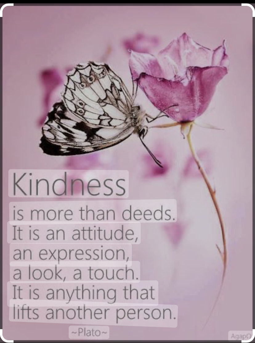 Kindness Mindset